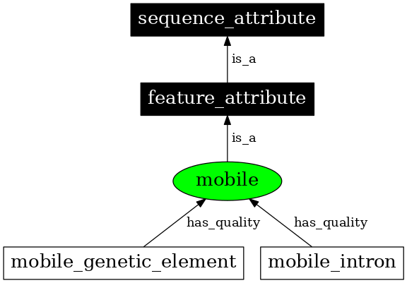 Graph image for SO:0001234