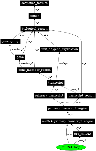 Graph image for SO:0001246