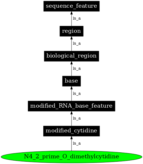 Graph image for SO:0001291