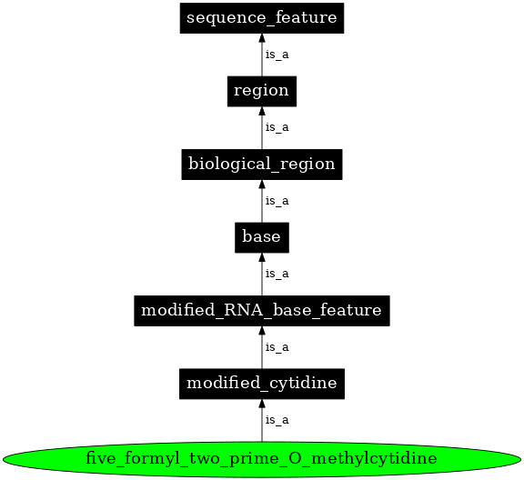 Graph image for SO:0001293