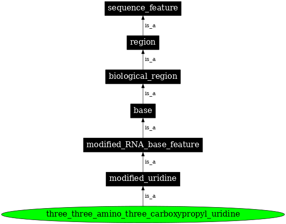 Graph image for SO:0001353