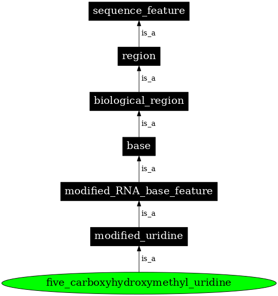 Graph image for SO:0001358