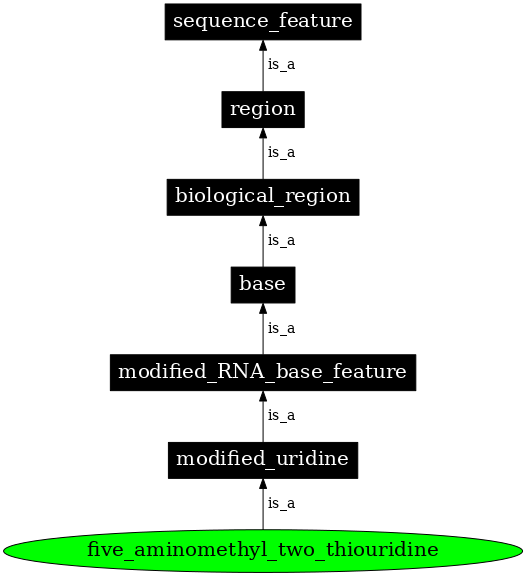 Graph image for SO:0001363