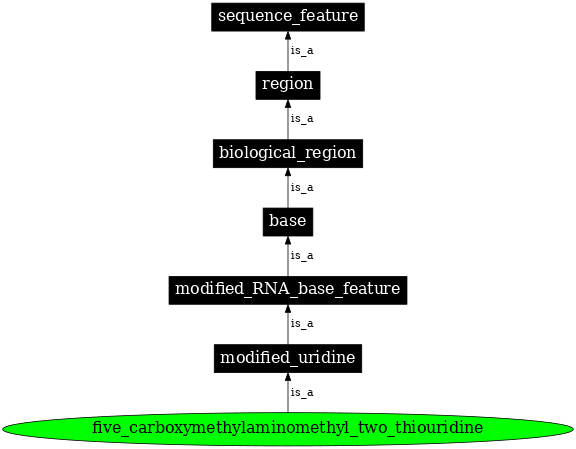 Graph image for SO:0001371