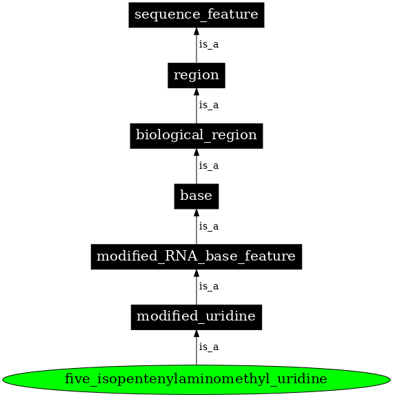 Graph image for SO:0001380