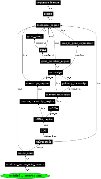 Graph image for SO:0001389