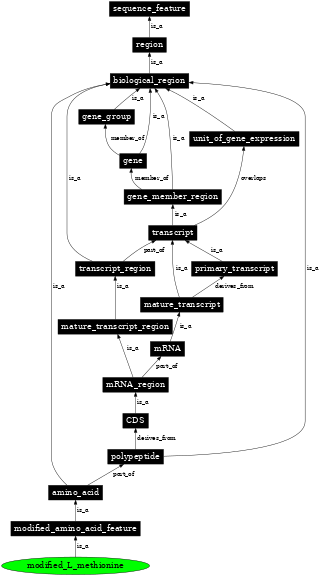 Graph image for SO:0001395