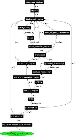 Graph image for SO:0001396