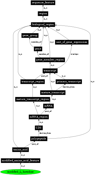 Graph image for SO:0001398