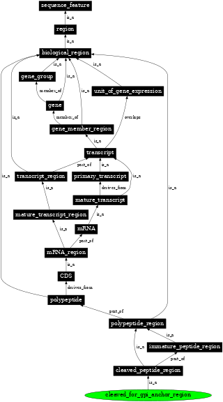 Graph image for SO:0001408