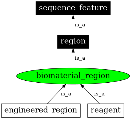 Graph image for SO:0001409