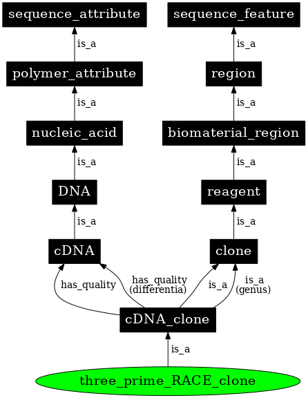 Graph image for SO:0001433