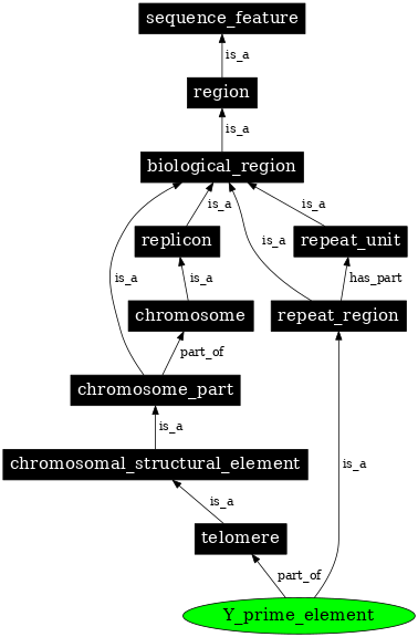 Graph image for SO:0001485