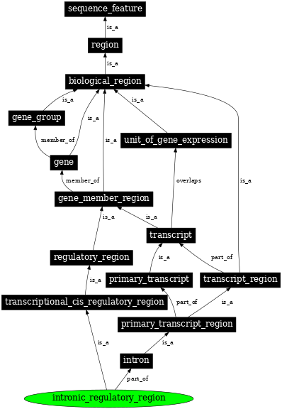 Graph image for SO:0001492