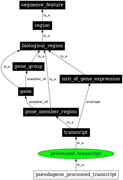 Graph image for SO:0001503