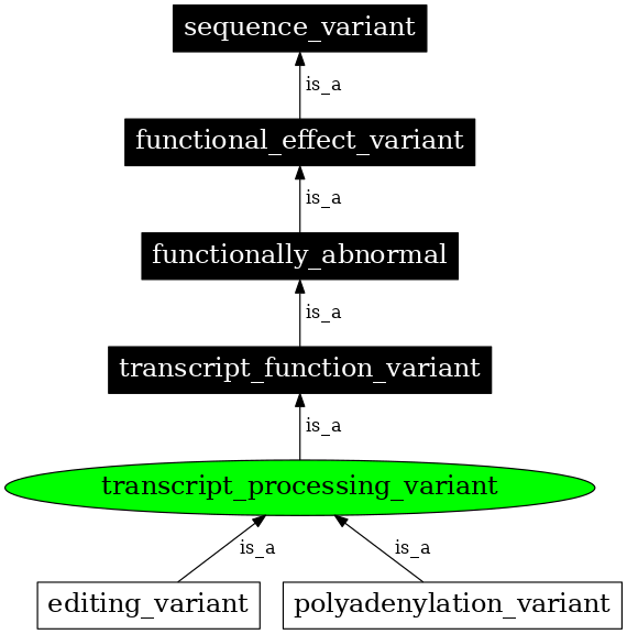 Graph image for SO:0001543