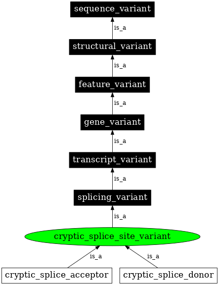 Graph image for SO:0001569