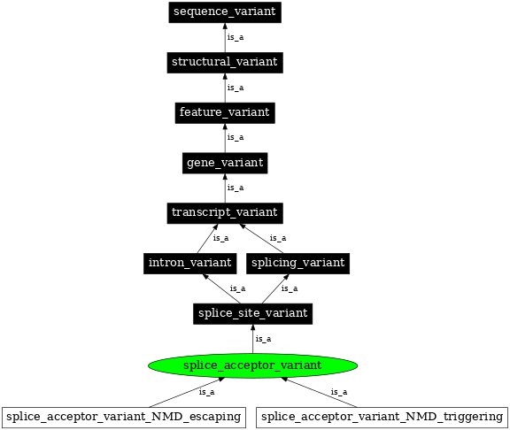 Graph image for SO:0001574