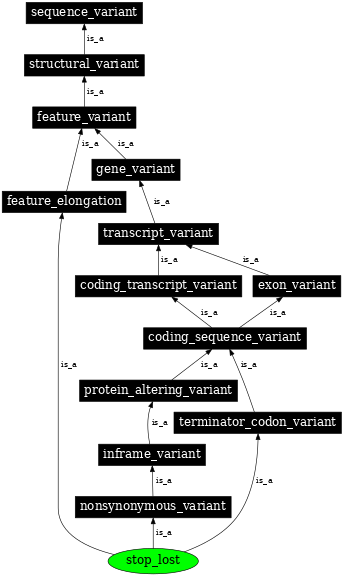 Graph image for SO:0001578