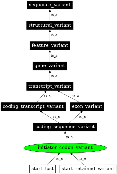 Graph image for SO:0001582