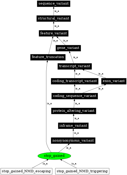 Graph image for SO:0001587