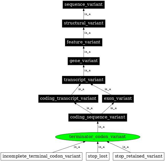 Graph image for SO:0001590