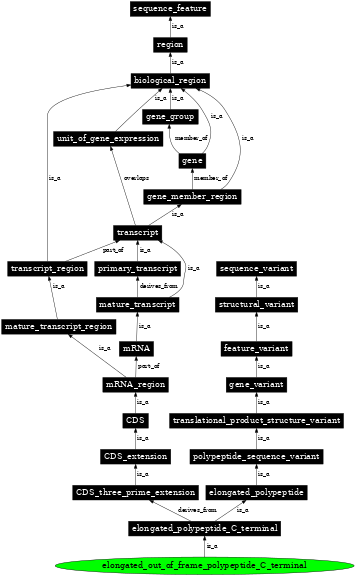 Graph image for SO:0001613