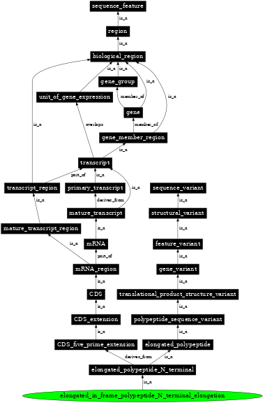 Graph image for SO:0001614