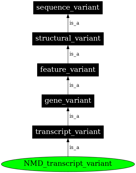 Graph image for SO:0001621