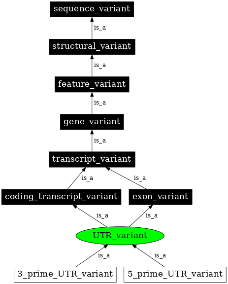 Graph image for SO:0001622