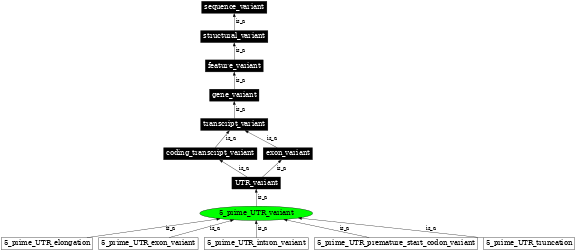 Graph image for SO:0001623