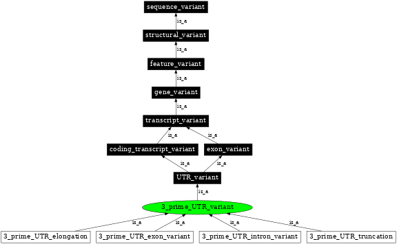 Graph image for SO:0001624