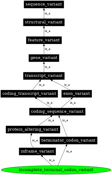 Graph image for SO:0001626