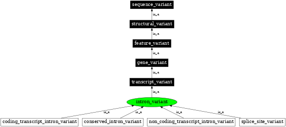 Graph image for SO:0001627