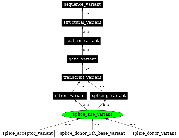 Graph image for SO:0001629