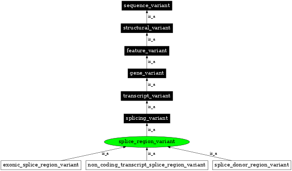 Graph image for SO:0001630