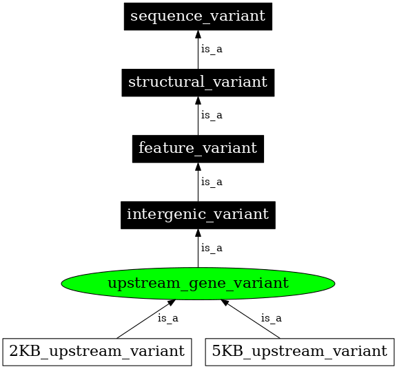 Graph image for SO:0001631