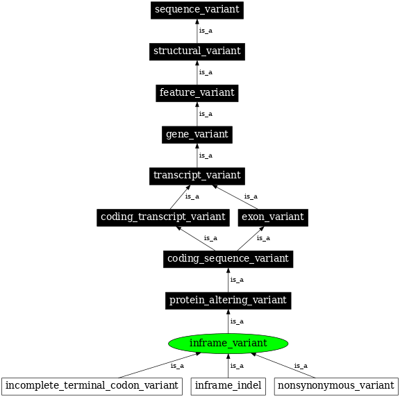 Graph image for SO:0001650