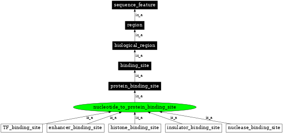 Graph image for SO:0001654