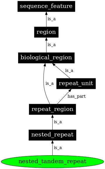 Graph image for SO:0001658