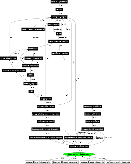 Graph image for SO:0001702