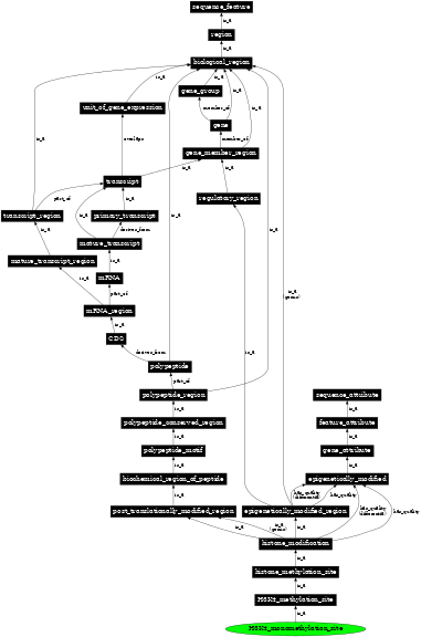 Graph image for SO:0001705