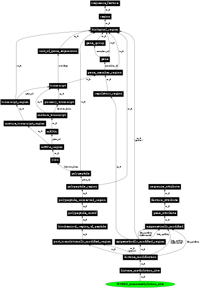 Graph image for SO:0001713