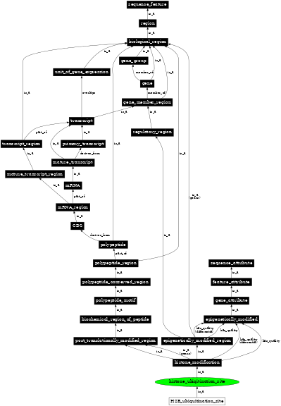 Graph image for SO:0001716