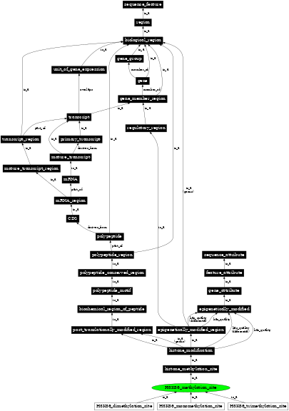 Graph image for SO:0001733