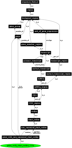 Graph image for SO:0001740