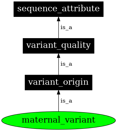 Graph image for SO:0001775