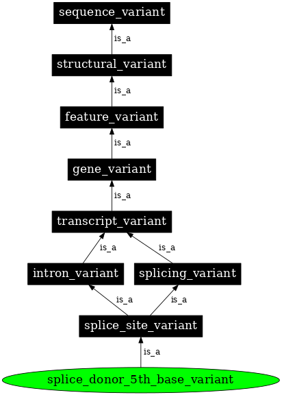 Graph image for SO:0001787