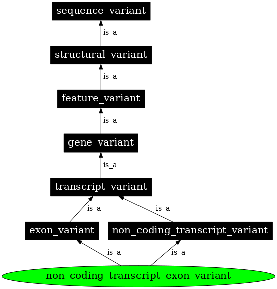 Graph image for SO:0001792