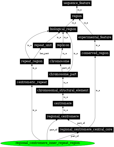 Graph image for SO:0001798